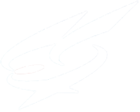 アルファセキュリティ